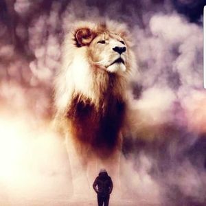 Meet your Posher, Barry